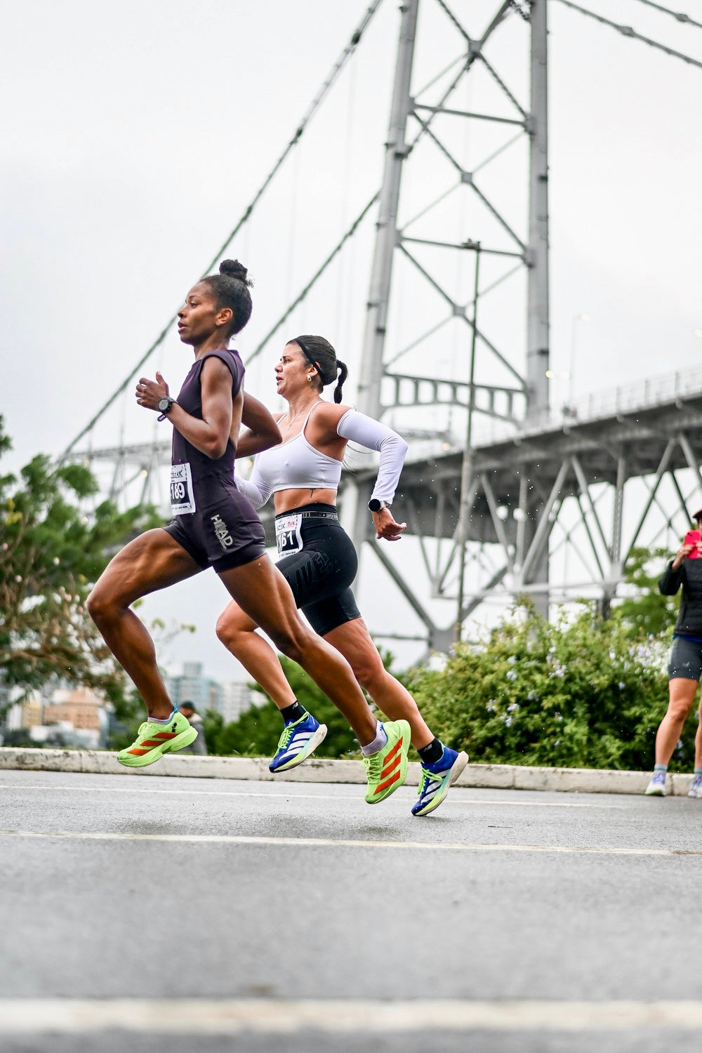 Macaquinho Run  Púrpura